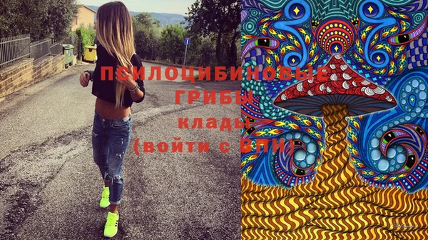 соль курить ск Кукмор